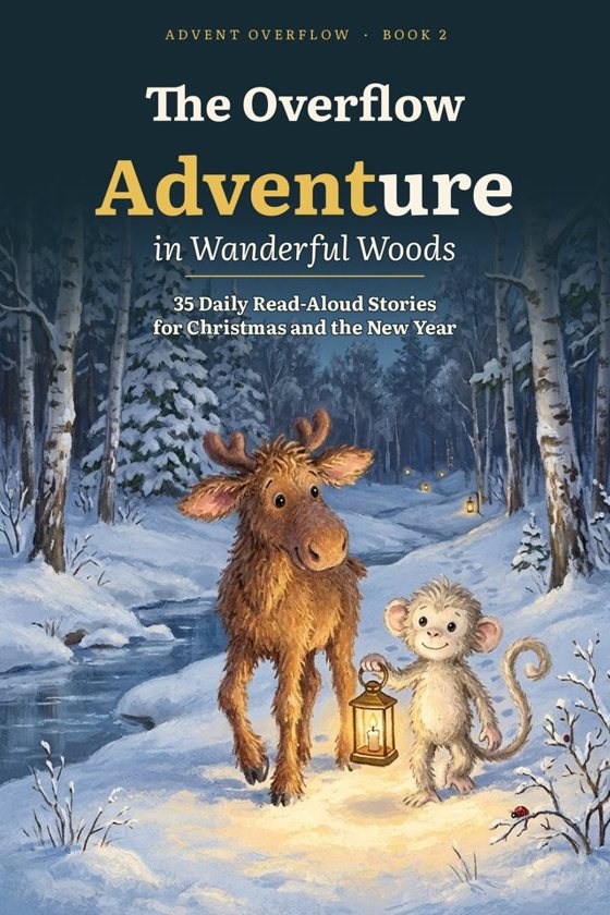 Cover of The Overflow Adventure in Wanderful Woods